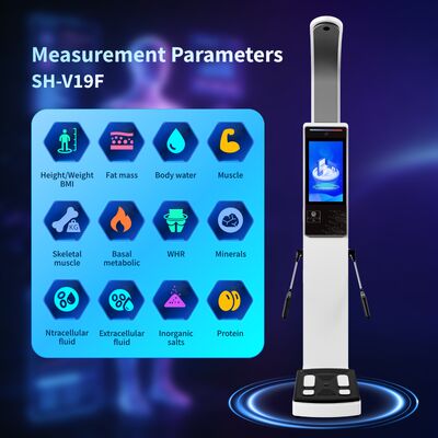 19 Inch Intelligent 8 Electrodes Body Analyzer Scale with Big LCD Display for Fitness Centers Gyms 