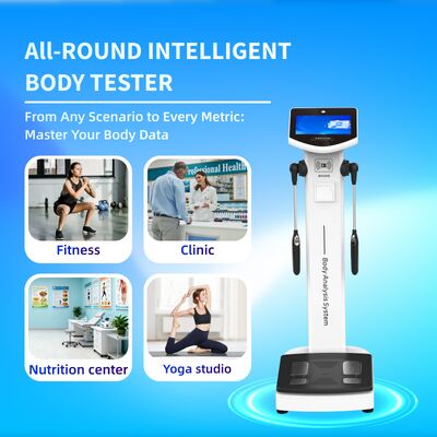 Hot Sale Body Fat Scale Analyzer Machine Body 270 Body Composition Analyzer Use in Clinic Fitness Club