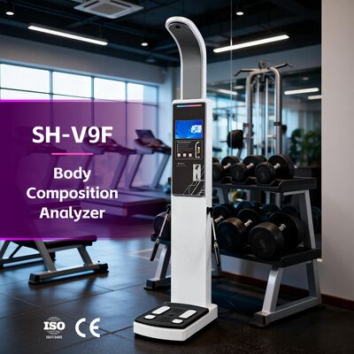 Fitness Center Use Body Composition Analysis Fat Scanner for BMI Body Fat and Muscle Scan Body Analyzer Analista de gordura corporal OEM Analista de corpo